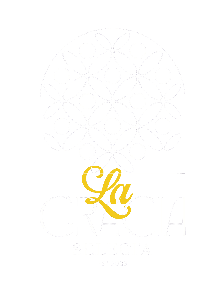 Patrocinador Principal 1