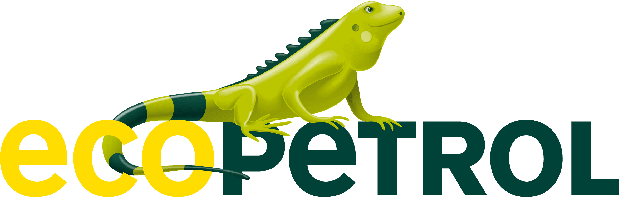 Patrocinador Principal 1
